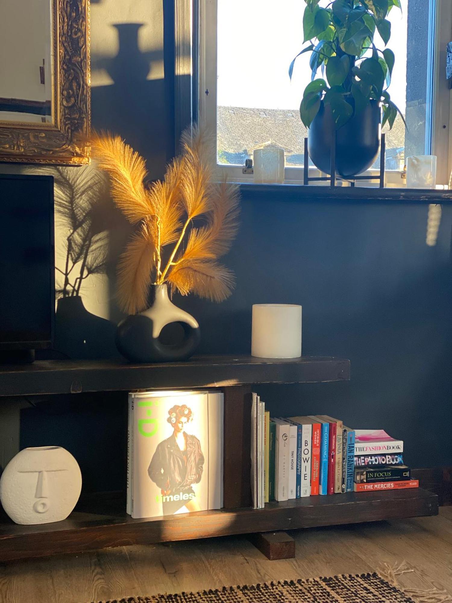 Spacious & Light Studio Loft アロア エクステリア 写真